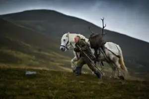 Deer Herds need to be Culled