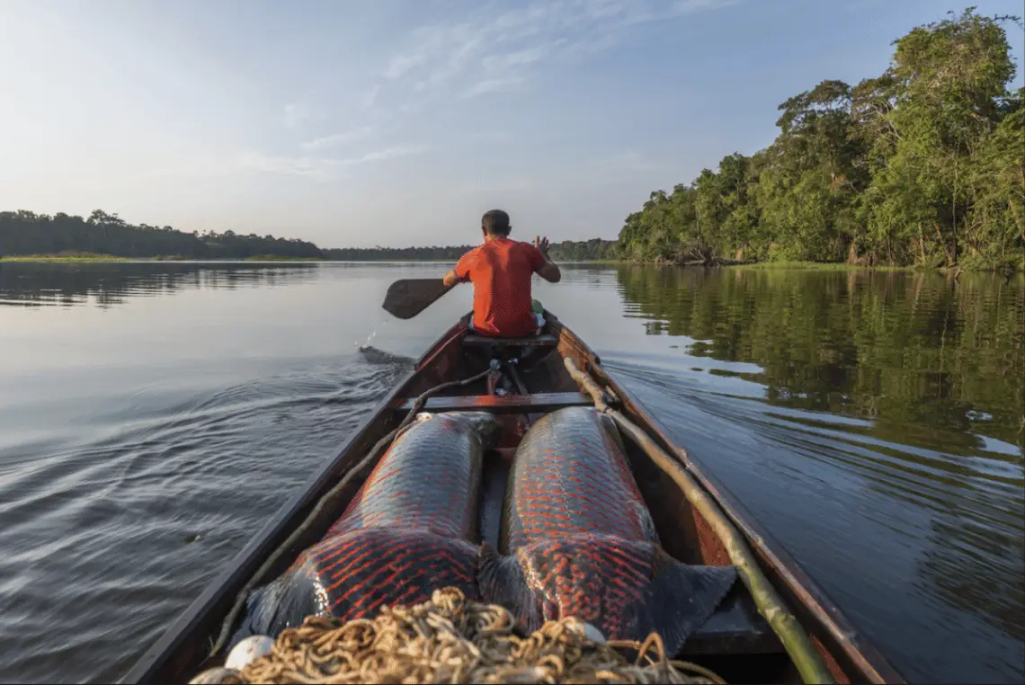 Community Conservation