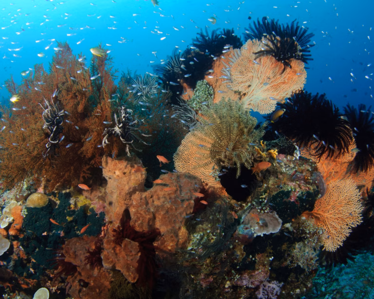 Earth being pushed beyond its limits