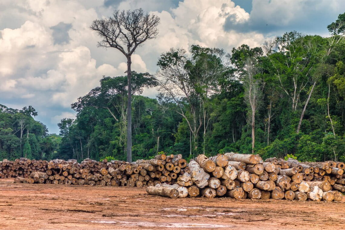 Amazon rainfall decline