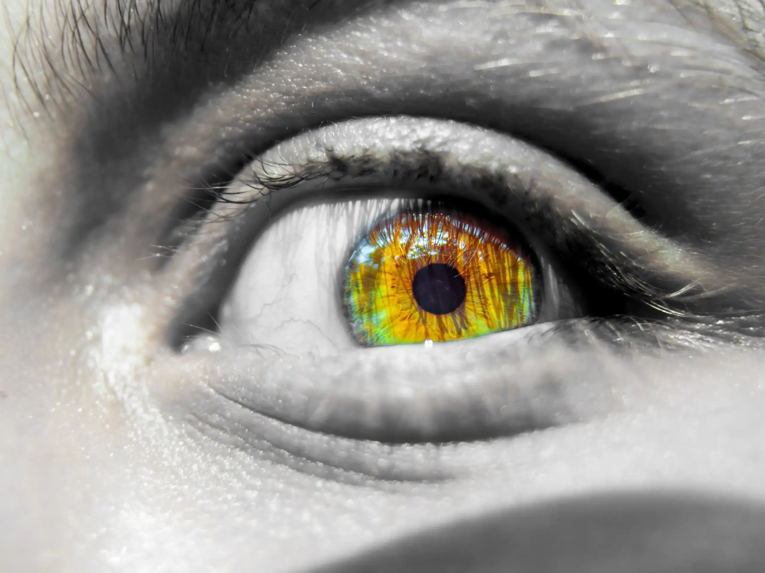 053-what-an-eye-royalty-free-image-1721264291 Aquatic Deoxygenation