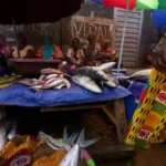 In Sierra Leone, local fishers and foreign trawlers battle for their catch