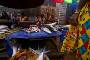 Sierra Leone Local Fishers