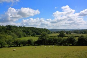 https://cxcs.co.uk/agriculture/blog/the-future-of-farm-support-in-wales/