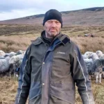 Sheep herded with special collars to protect birds