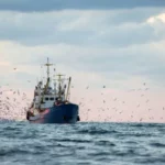 Paris leads coalition of EU states to demand actions against UK ban on bottom fishing