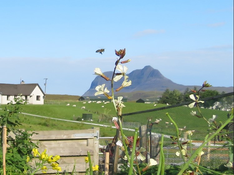 Crofting is Sustainable Farming