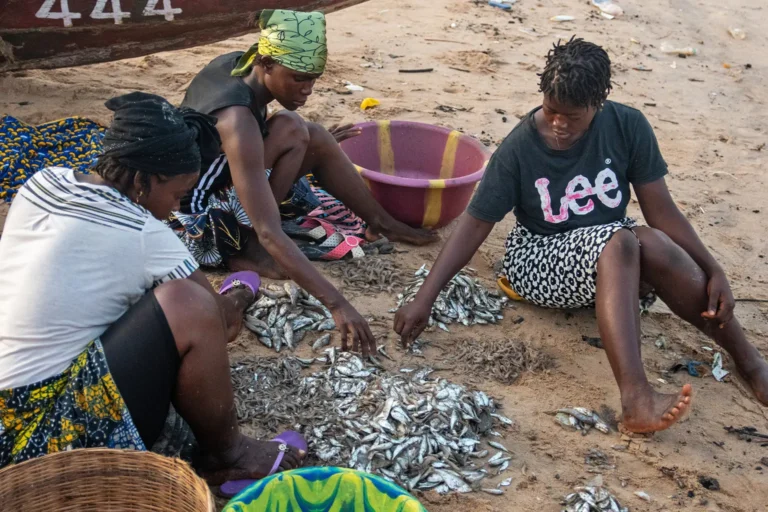 Sierra Leones artisanal fishers turn to destructive practices