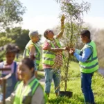 Climate benefits of planting forests might be overestimated