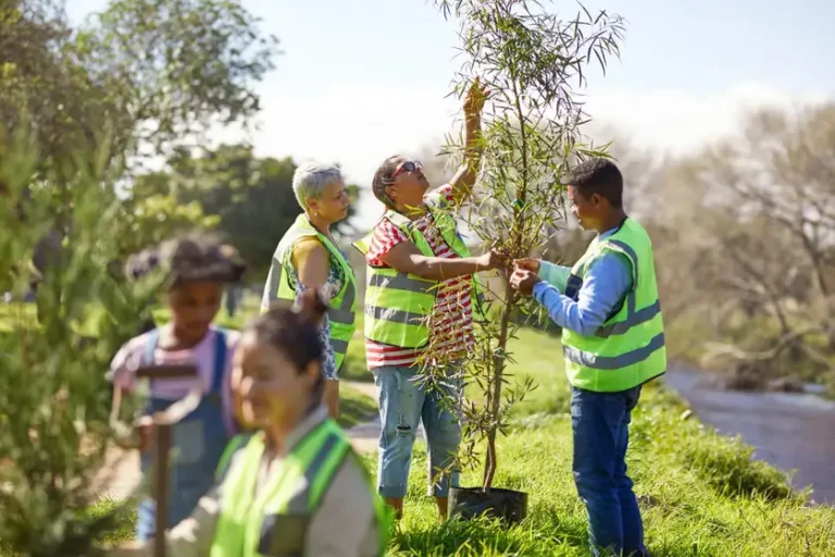 Climate Benefits of Planting Forests Might be Overestimated