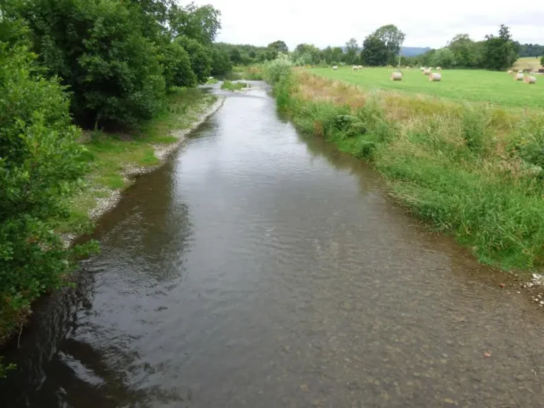 River is Better Than Ever After Farmer John Prices Work – Utter Nonsense