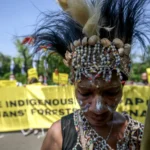 Papuans head to Indonesian court to protect forests from palm oil