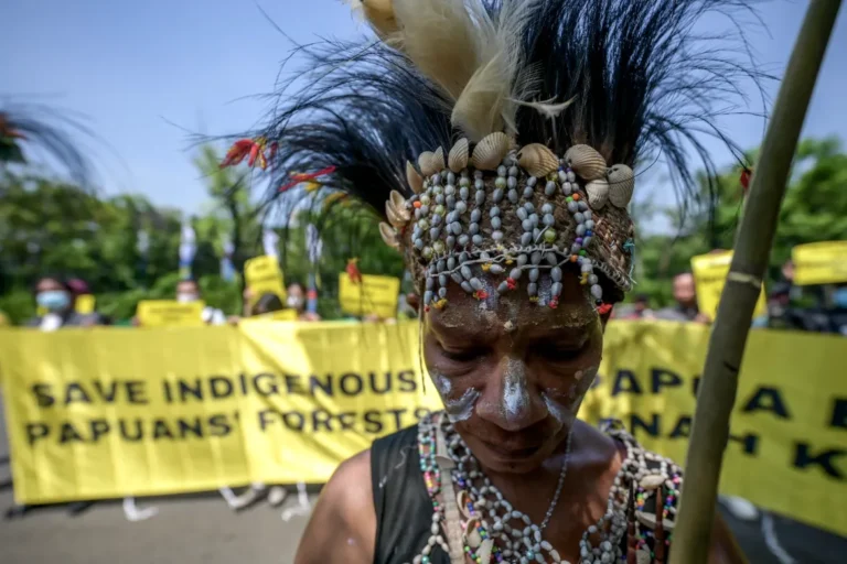 Papuans Head to Indonesian Court to Protect Forests from Palm Oil