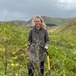 Woman plants thousands of trees after buying fell