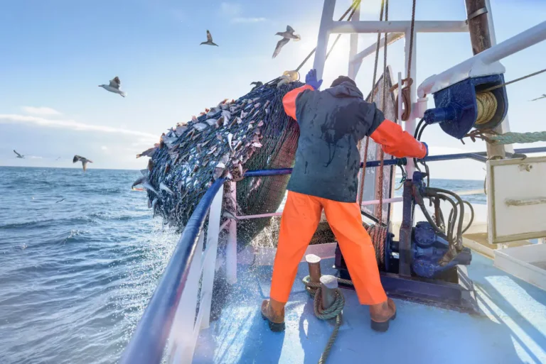 Facing up to Accelerating Exploitation of Oceans
