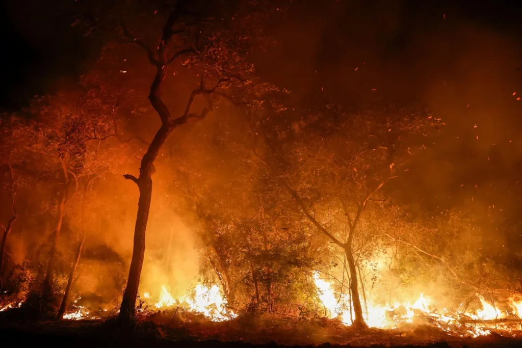 Messages on Climate Change. The World’s Largest Wetland Is Burning