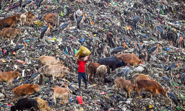 Consumerism and the Climate Crisis Threaten Equitable Future for Humanity