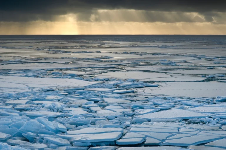 The Difference Between Global Warming and Climate Change