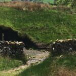 No 1 in climate change and sustainability