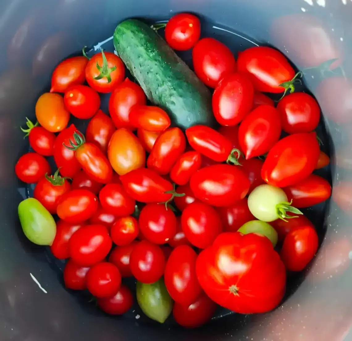 Do we grow the right food