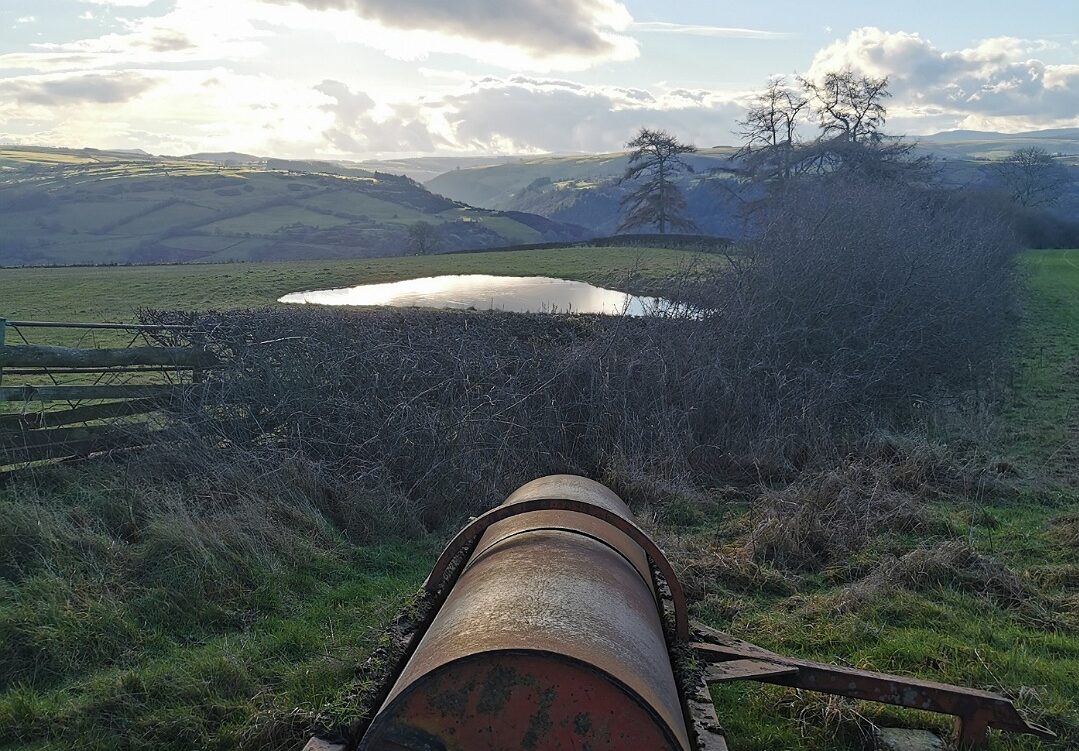 Improve Sustainability