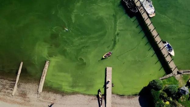 27 133268374 algalbloom