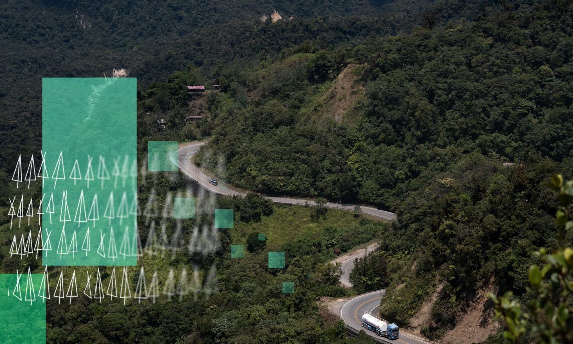 rainforest carbon offsets