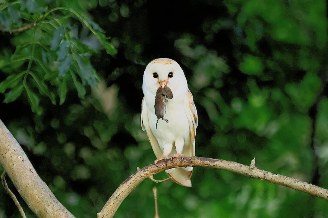 FB IMG 1759085237662 1