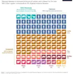 a cool guide for distribution of mammals on earth v0 5qna1phkl99c1